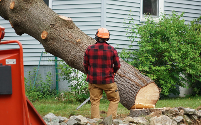 Creative Ways to Use Wood Chips in Your Landscaping Design