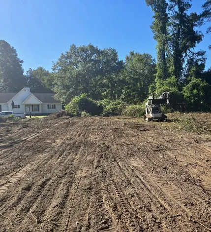 Land Clearing service
