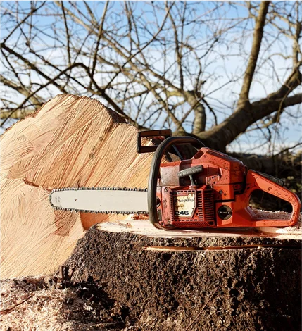 Stump Grinding