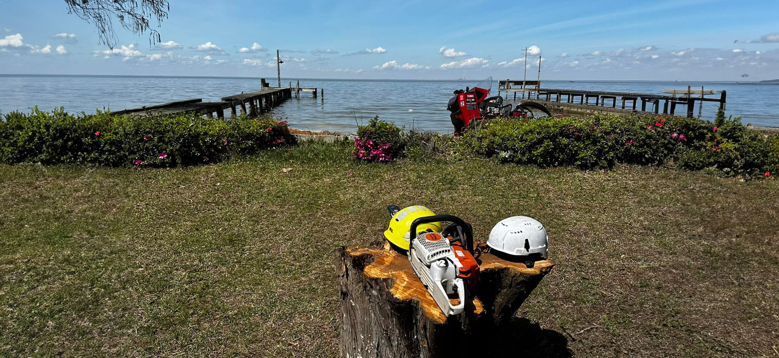 dangers of diy stump grinding land clearing